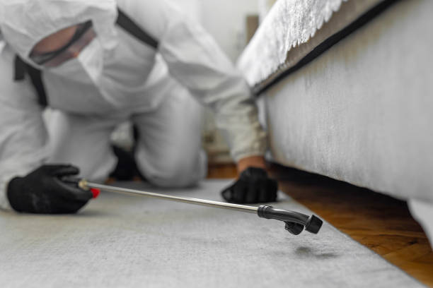 Professional Termite Control technician working in Morris, OK