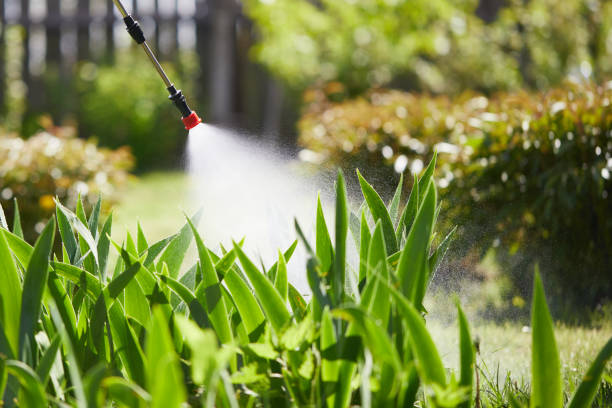 24/7 Emergency Termite Control experts in Morris, OK