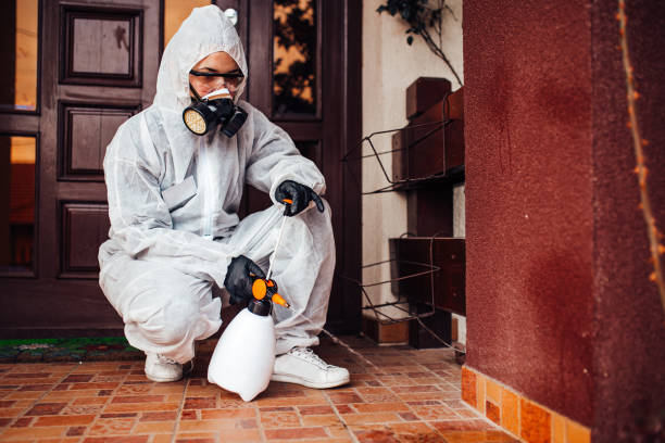 Reliable Termite Control contractor in Morris, OK by Nex Pest Control