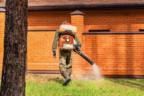 Trusted Ant Control service in Morris, OK - Nex Pest Control